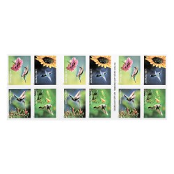 2024 U.S. Garden Delights First Class Forever Postage Stamp
