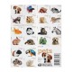 2016 US Pets Forever Stamps