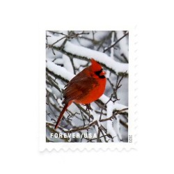 2020 US 'Winter Scenes' Forever Postage Stamps